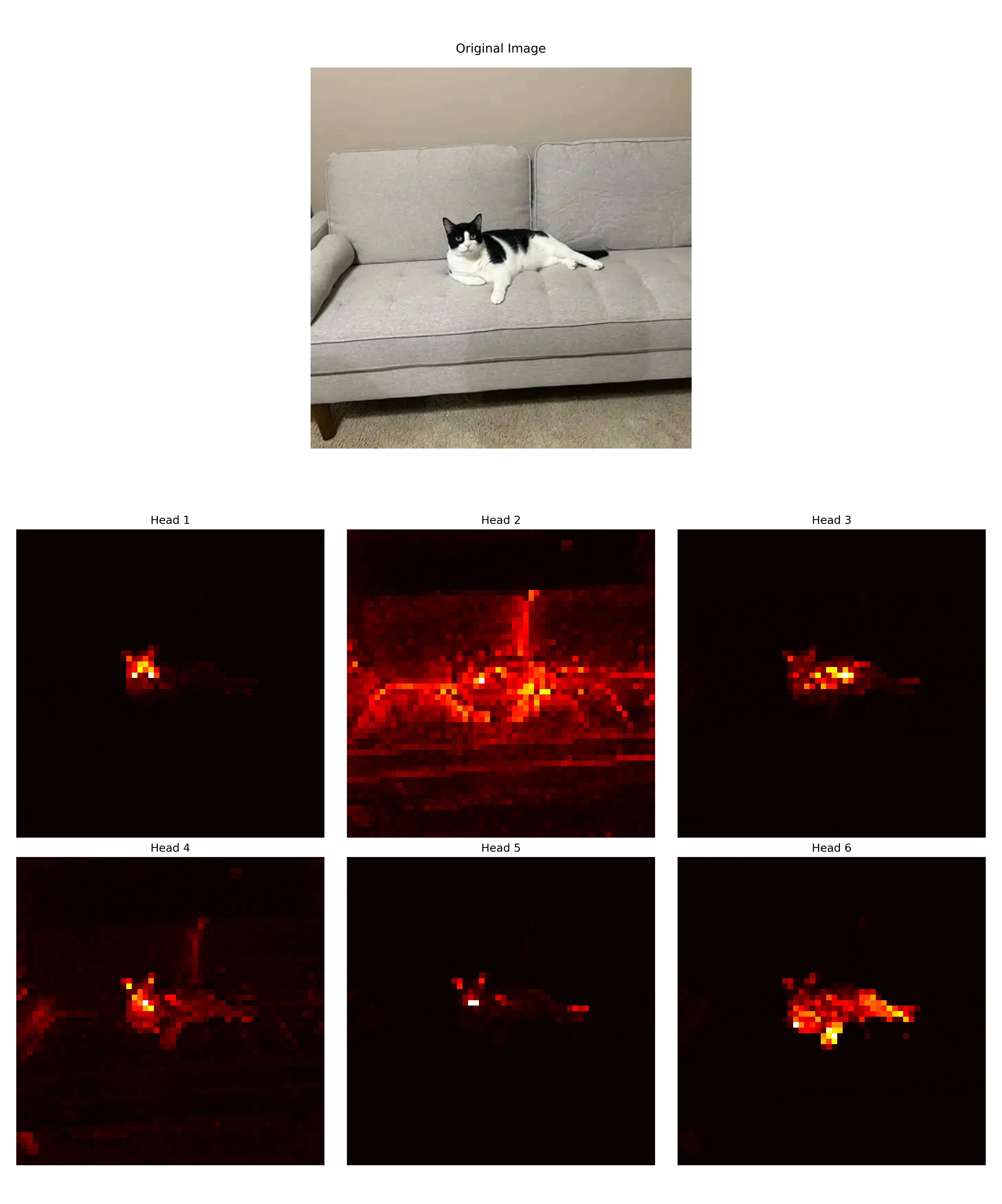 DINO feature visualization