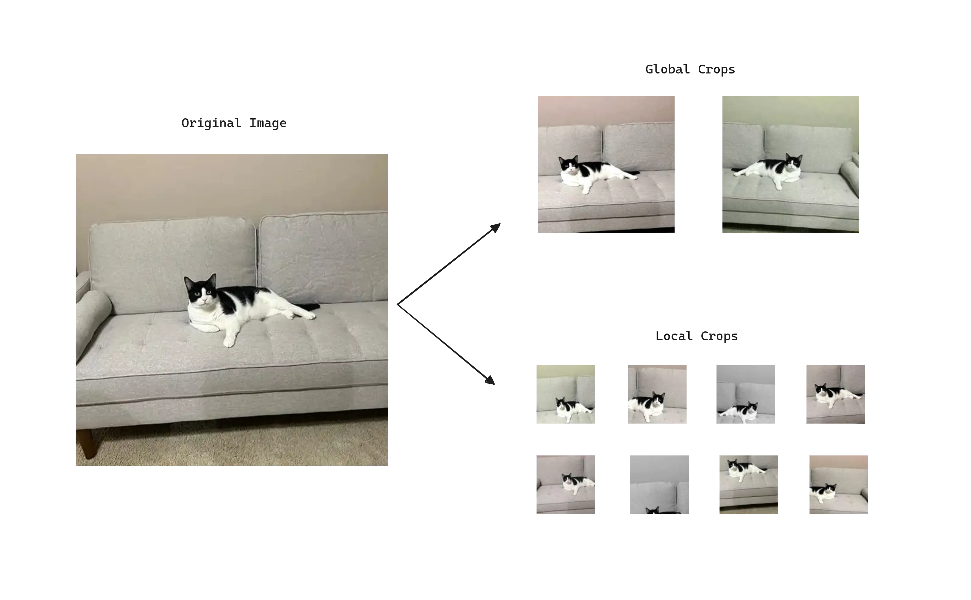 DINO multi-crop strategy