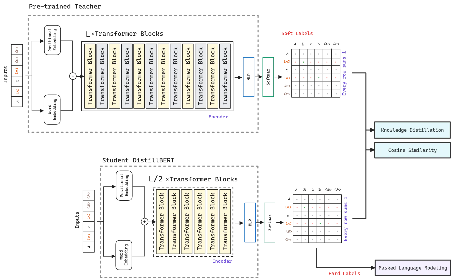 DistillBERT architecture