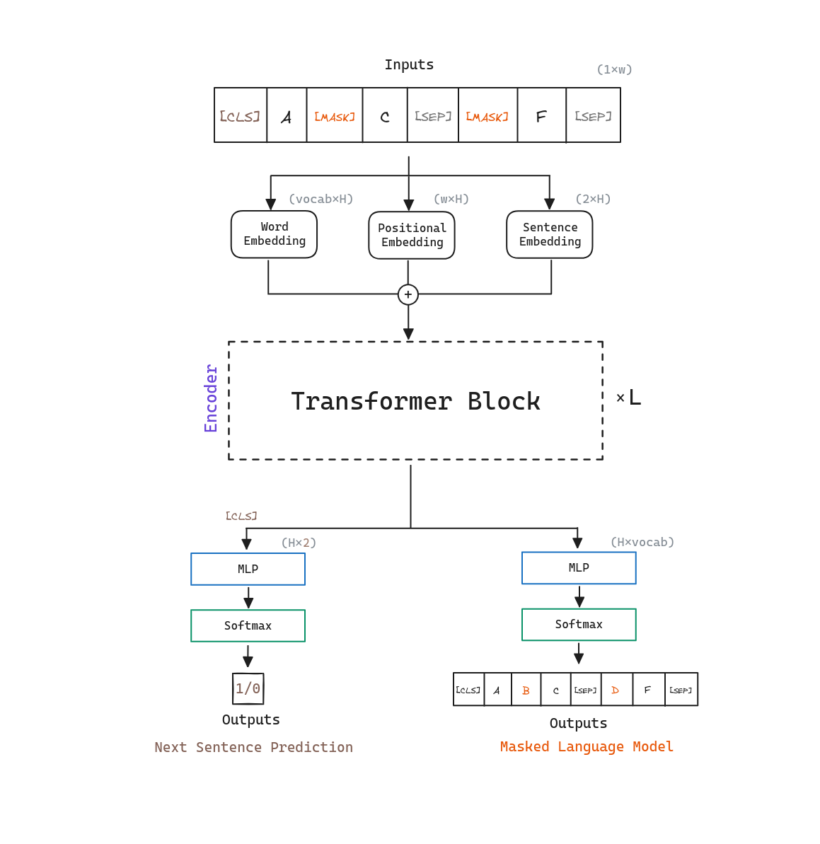 BERT model architecture for pre-training. The model receives a sequence of tokens as input, and outputs a sequence of vectors, one for each input token. The vector corresponding to the `[CLS]` token is used as the aggregate sequence representation for next sentence prediction. Some tokens are masked out with `[MASK]` tokens, and the model is trained to predict the original vocabulary id of the masked word based only on its context.