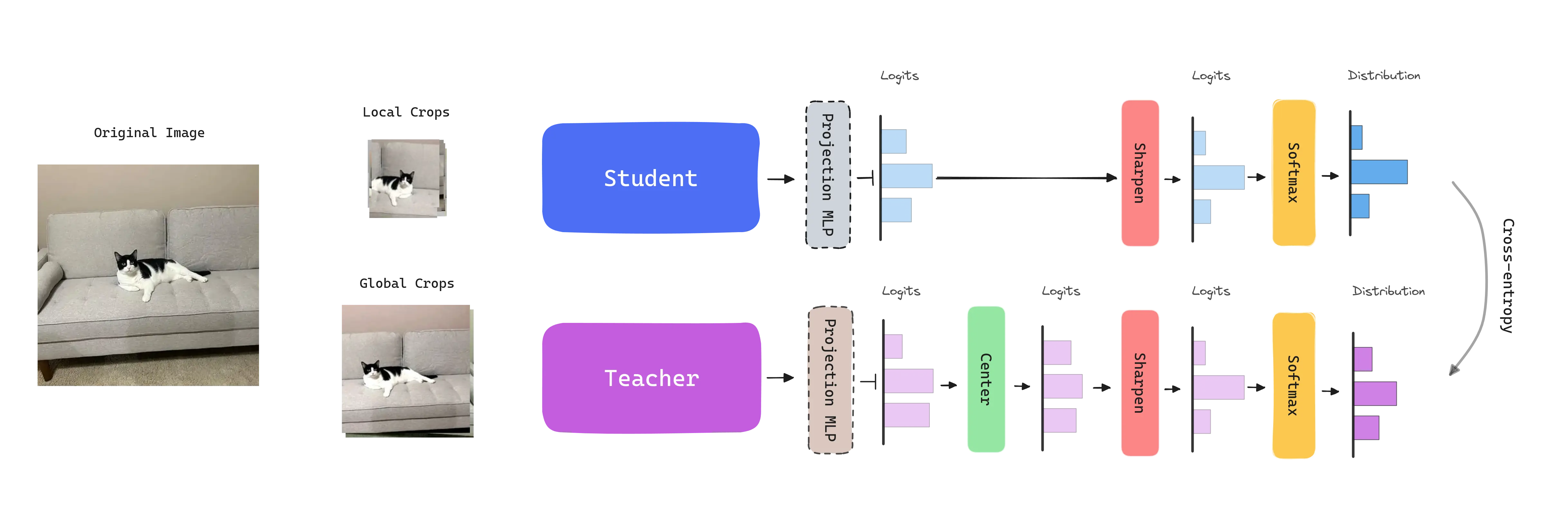 DINO framework. The student network is trained to match the output of the teacher network.