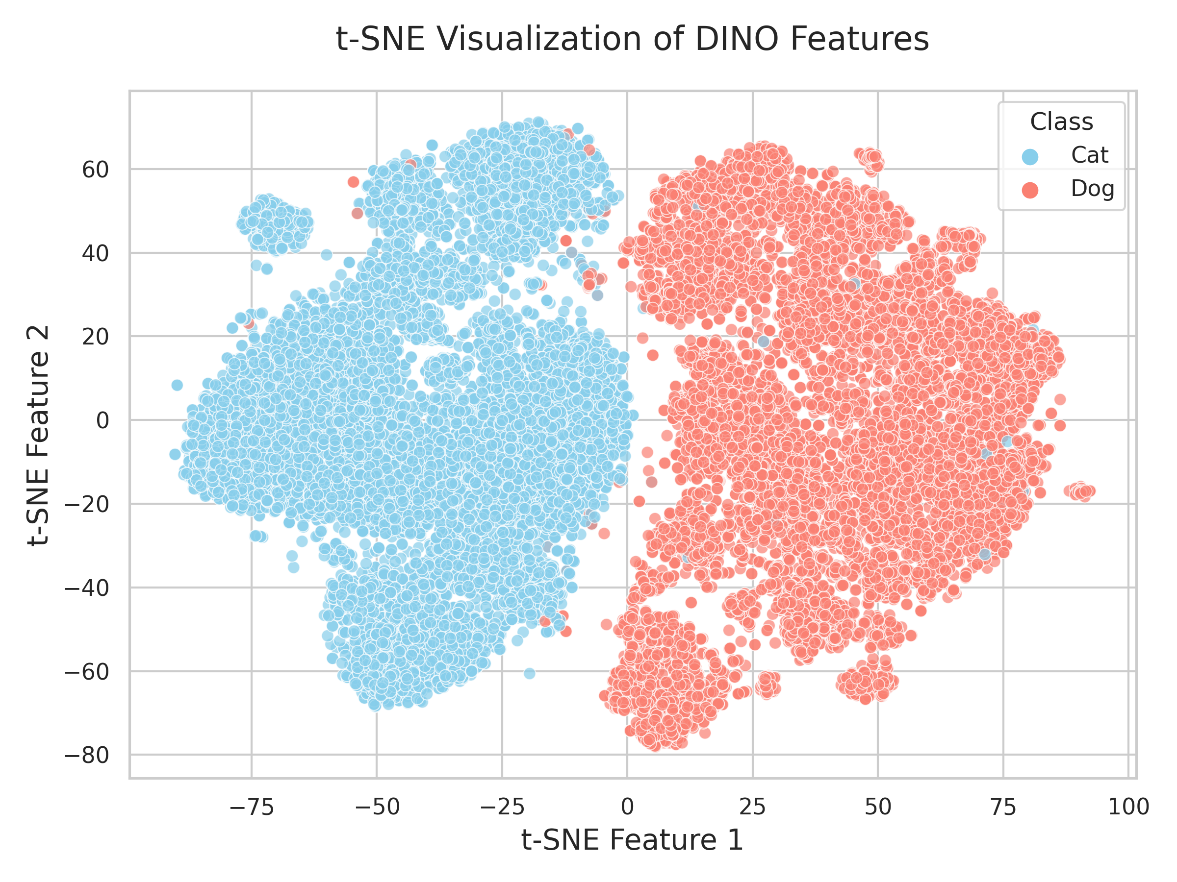 t-SNE visualization of the features extracted from the `CLS` token. Cat and dog images are well separated.