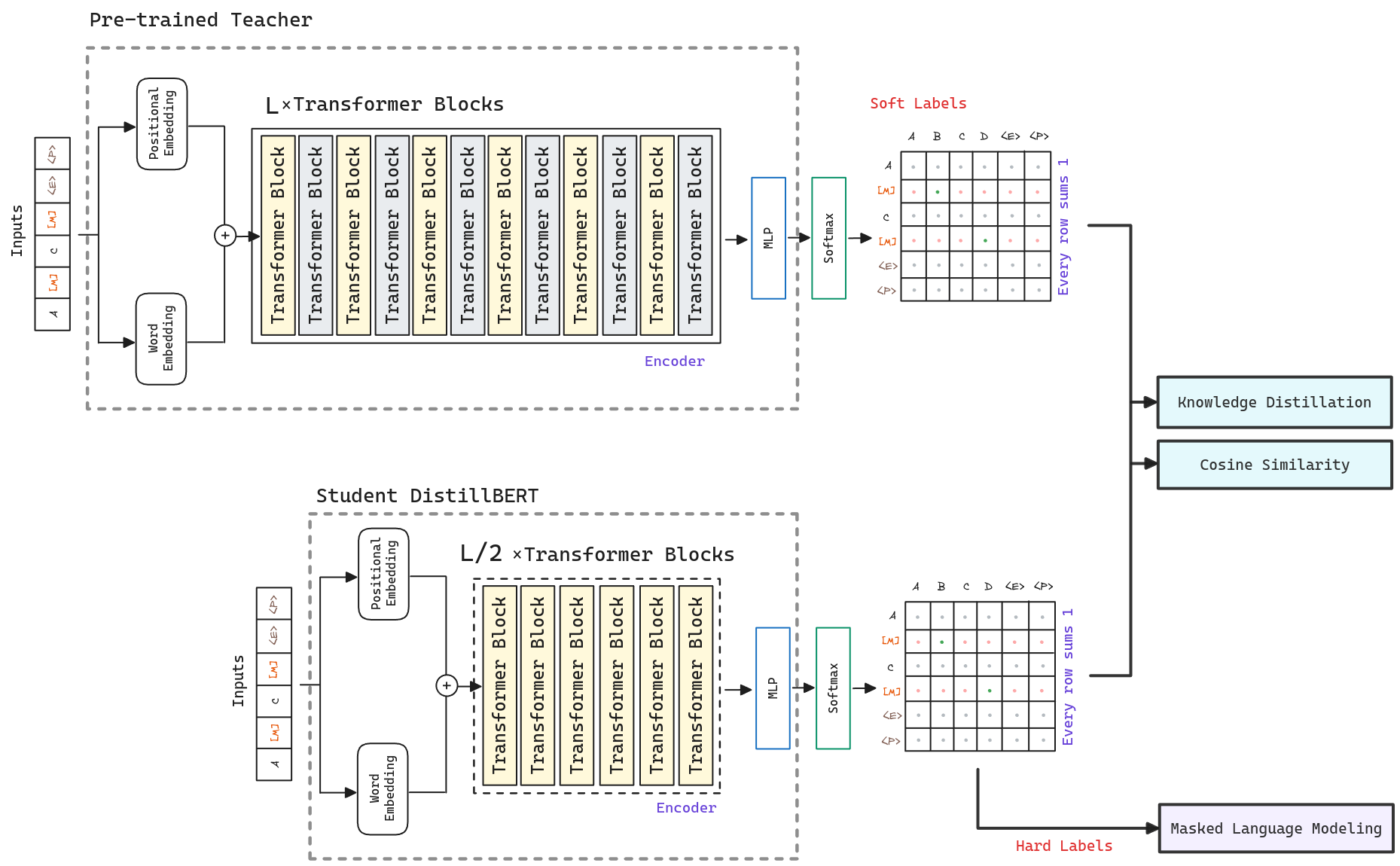 DistillBERT model overview. The student is trained to mimic the teacher's predictions. A triple loss combining language modeling, distillation and cosine-distance losses is used to train the student.