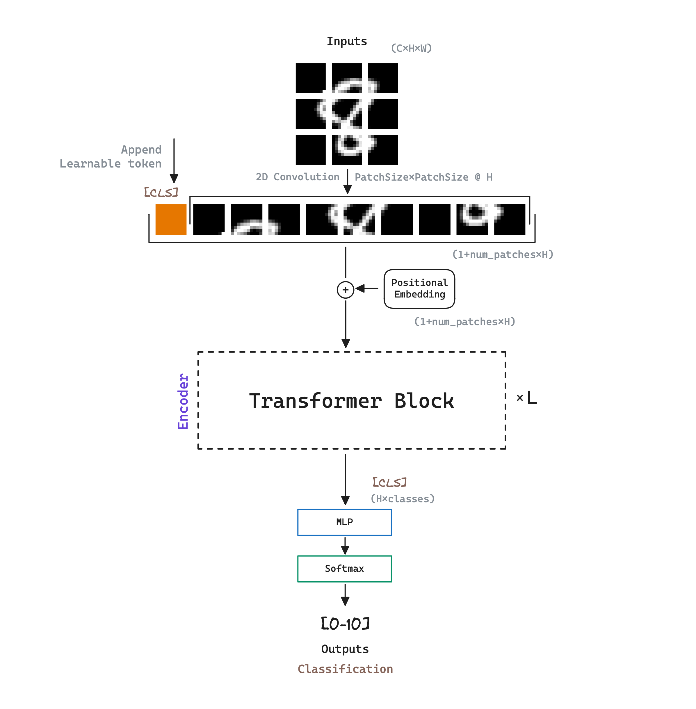 ViT model architecture. The model receives an image as input and outputs the result of its classification. The vector corresponding to the `[CLS]` token is used as the aggregate sequence representation of the image for the classificaction.